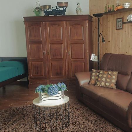 O Aconchego Das Raizes Baiao Room photo
